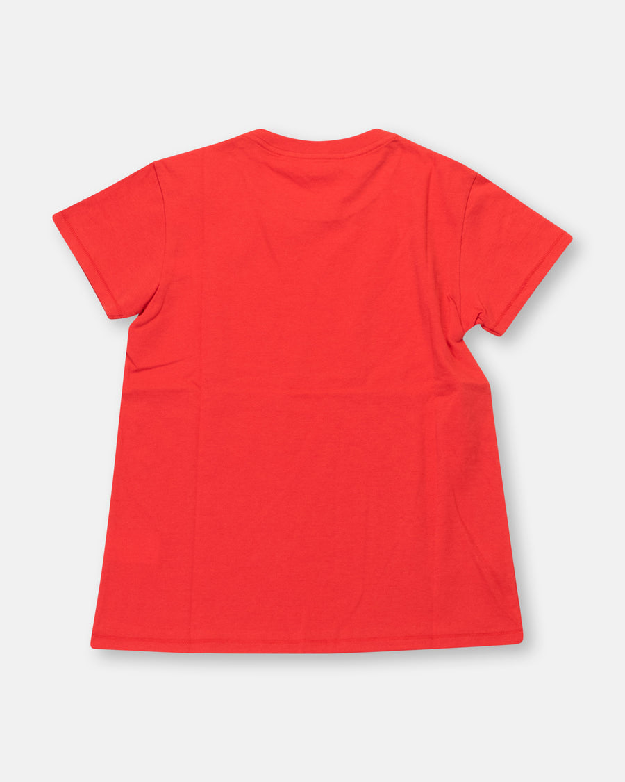 mini boy tee