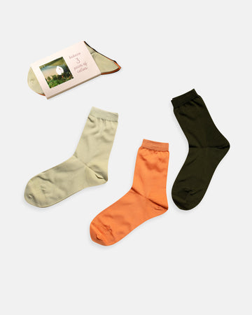 3 pairs of colors socks