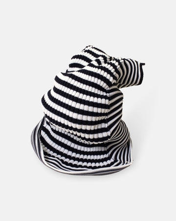 counterpoint beanie