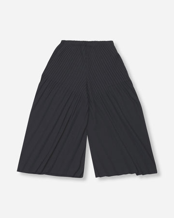 linen like pleats pants