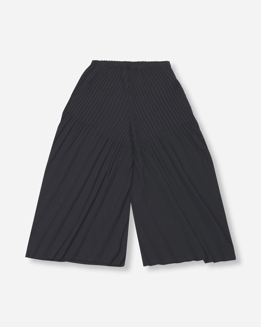 linen like pleats pants