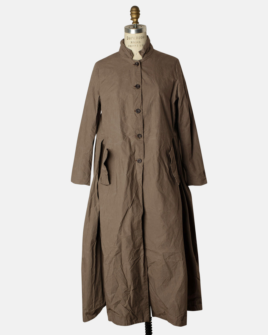ann coat