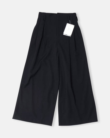 two tacked wide leg pants