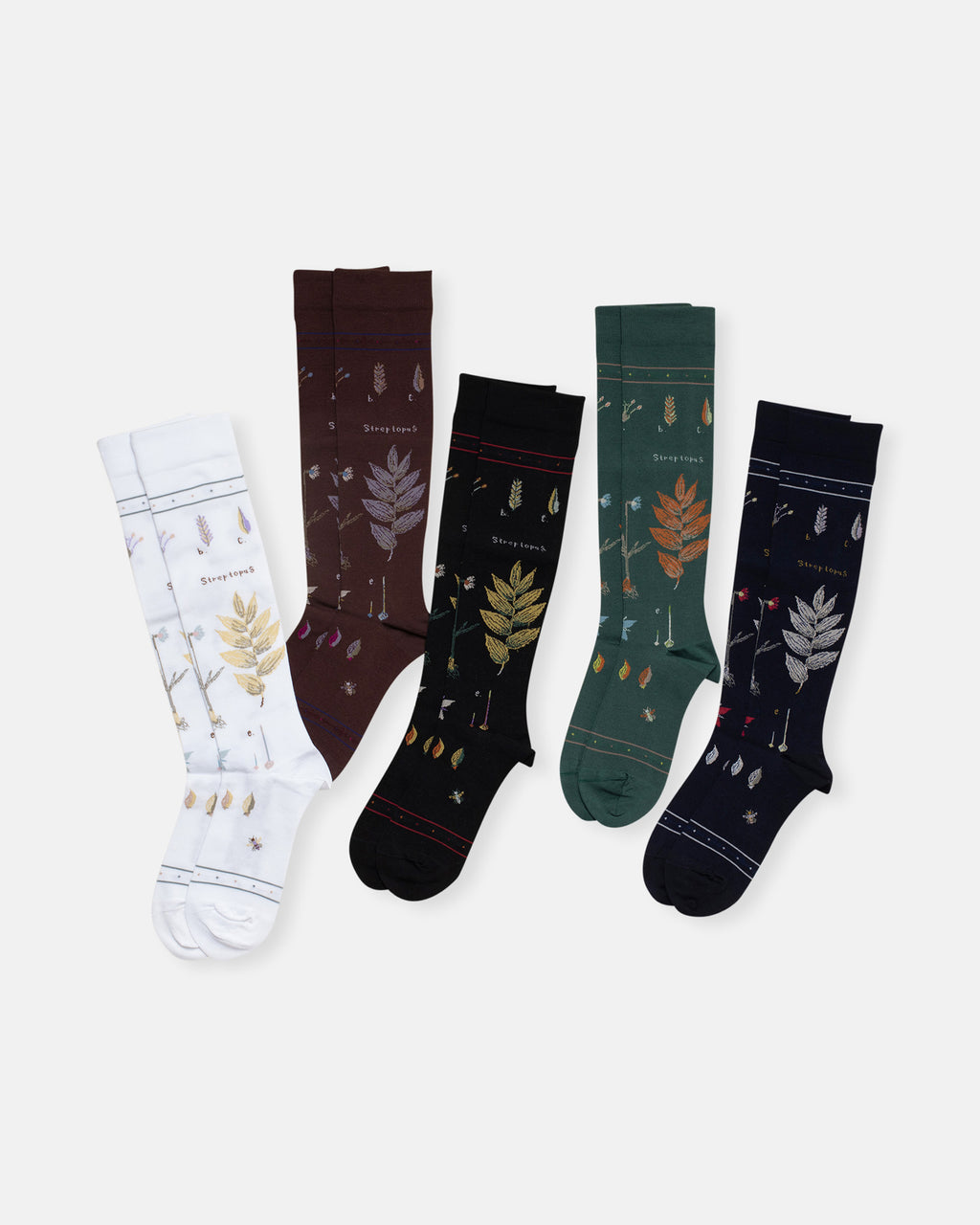 botanical xvii knee high compression socks